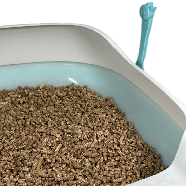 Pine Pellet Litter Box - Close up with pine pellet litter in the litter box - Turquoise