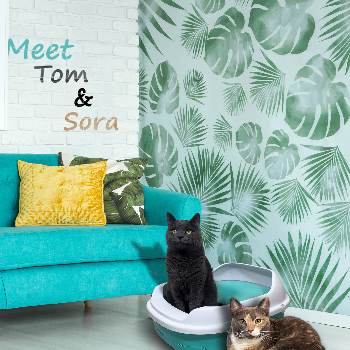 Pine Pellet Litter Box - Meet Tom and Sora - Turquoise