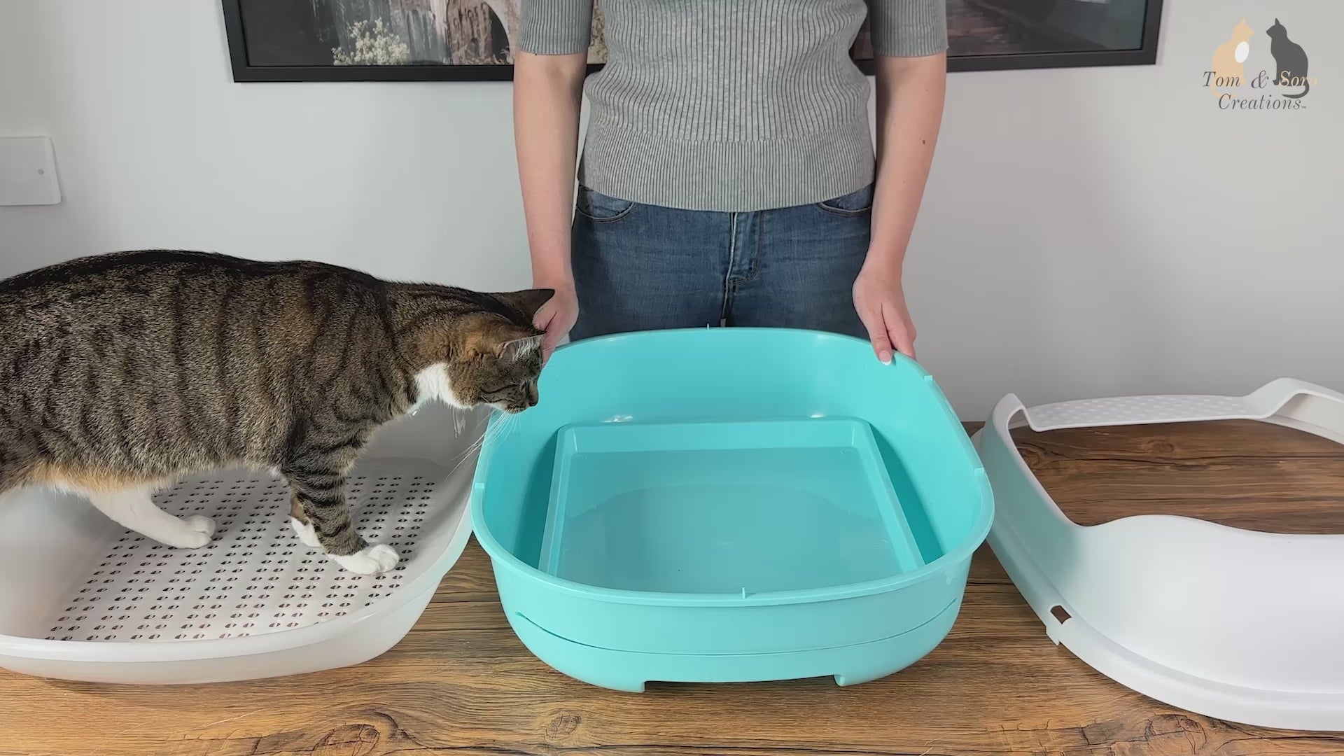 Load video: Tom &amp; Sora Creations Pine Pellet Litter Box