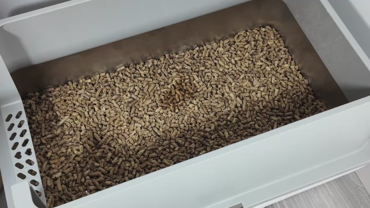 Stainless Steel Sifting Litter Box - Grey – Tom & Sora Creations